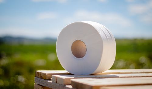Toaletní papír Jumbo 190, 2vr,100% celulóza, 105m (6ks) FROS 